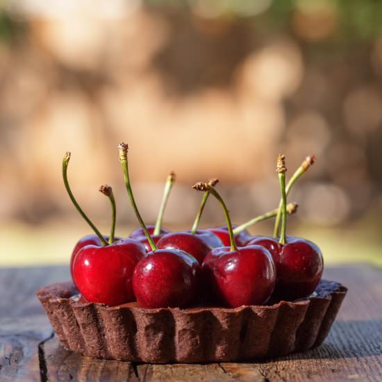 Chocolate Ganache Fruit Tart