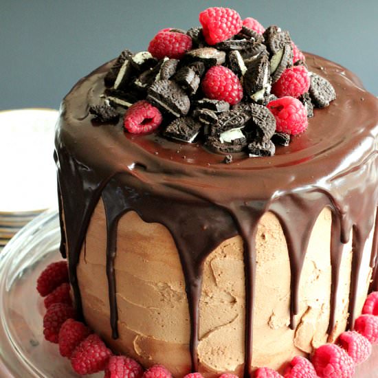Raspberry Oreo Mocha Cheesecake