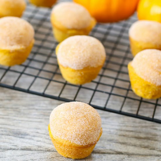 Mini Pumpkin Donut Muffins