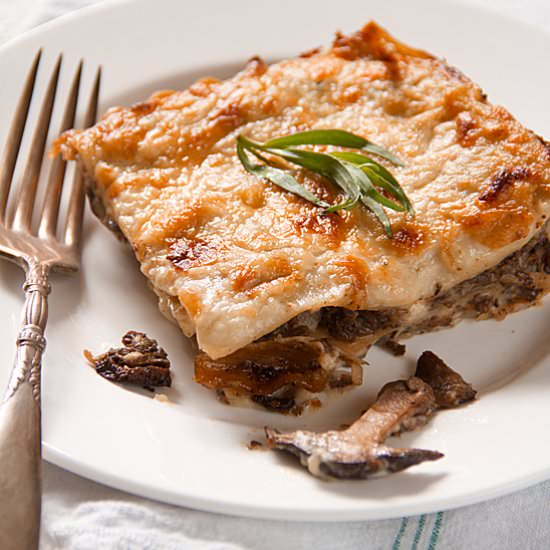 Mushroom Lasagna with Gorgonzola