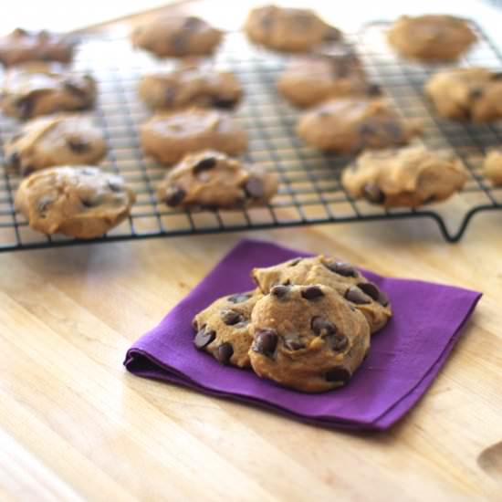 Pumpkin Chocolate Chip Cookies
