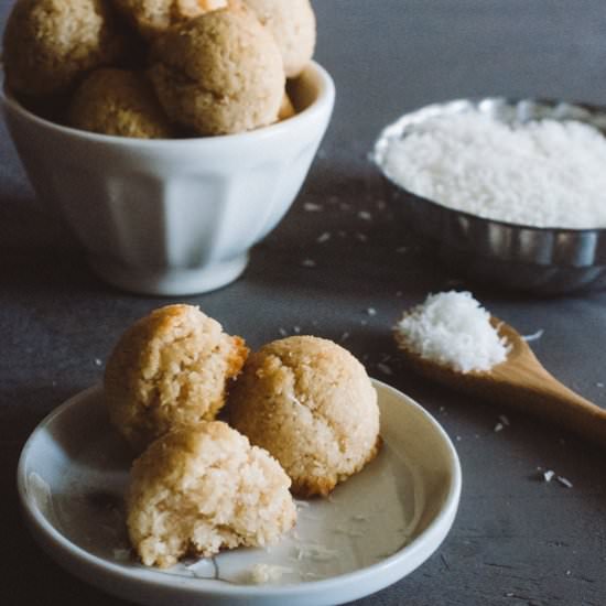 Coconut Macaroons (AIP & Paleo)
