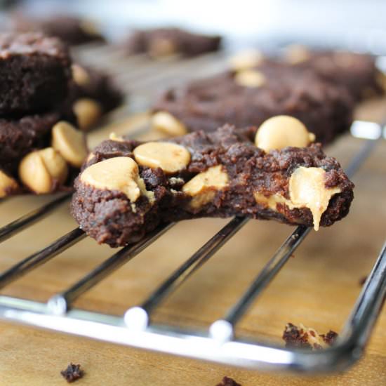 Peanut Butter Chocolate Brownie