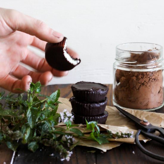 CHOCOLATE COCONUT PEPPERMINT BITES