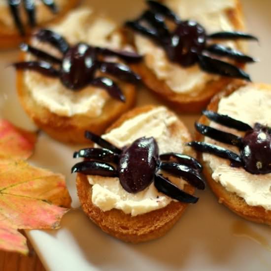 “Spider Bites”
