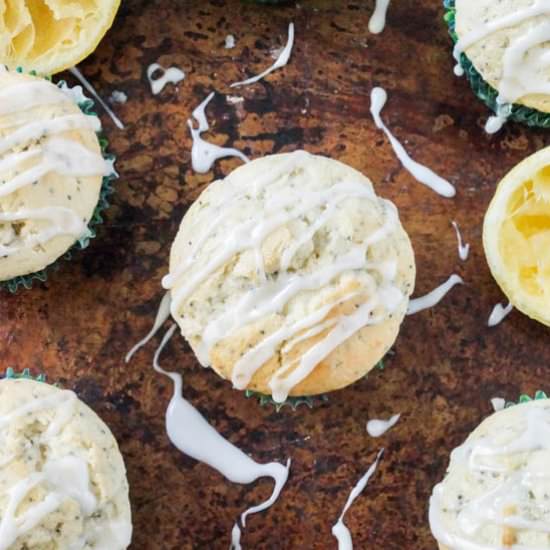 Lemon Poppy Seed Muffins