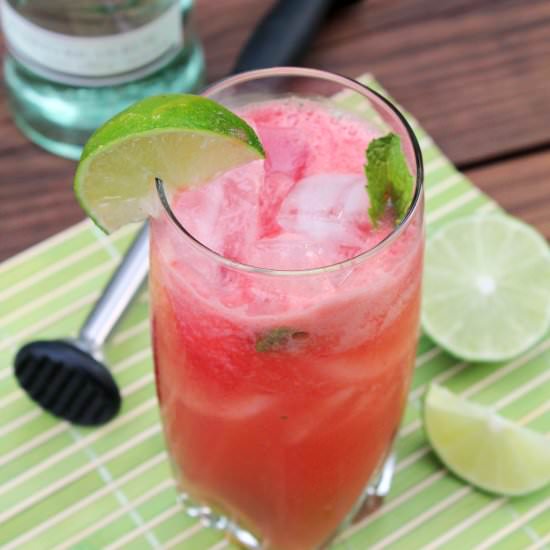 Watermelon Mojito