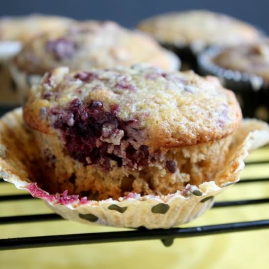 Boysenberry Black Walnut Muffins