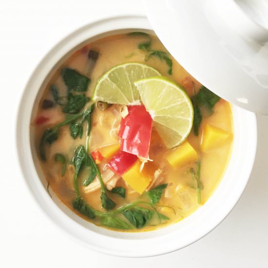 Fall Harvest Turkey Thai Soup