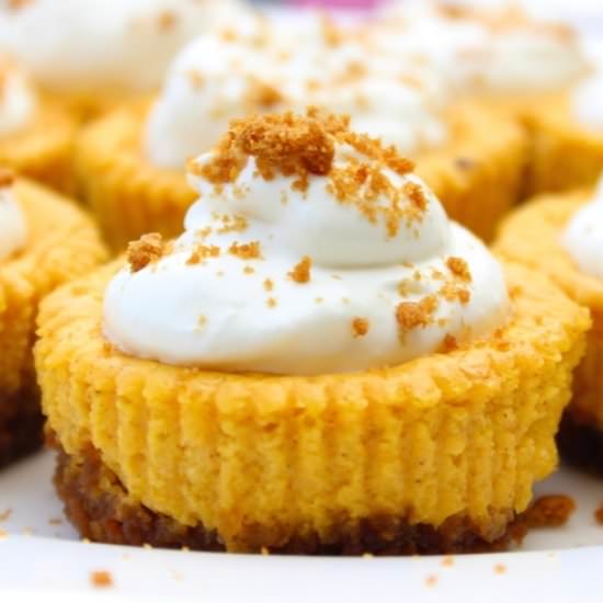 Mini Pumpkin Cheesecakes