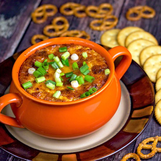 Chipotle Onion Cheese Dip
