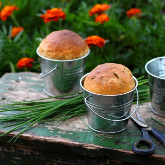 Sour cream chives buns