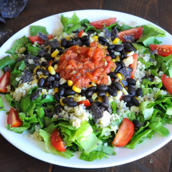 Big Vegan Taco Salad