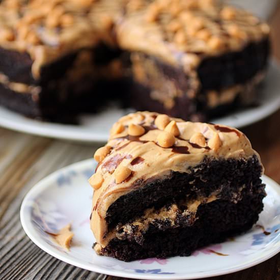 Chocolate Peanut Butter Cake