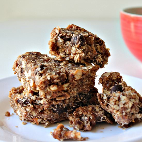Healthy Salted Oat Bars (Vegan/Raw)