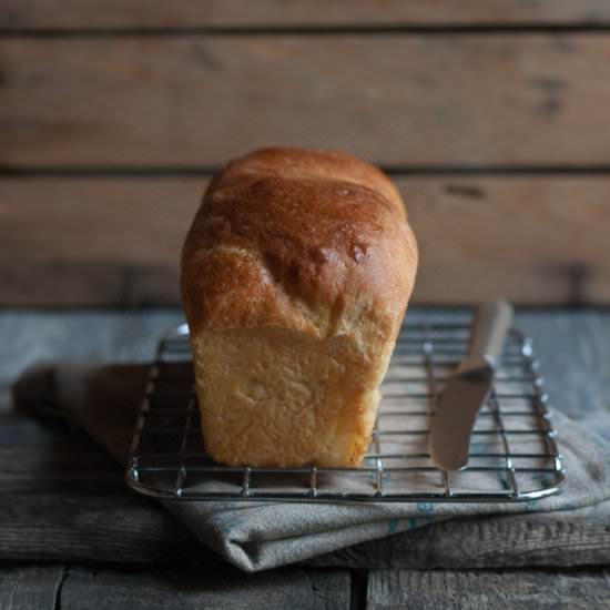 Brioche