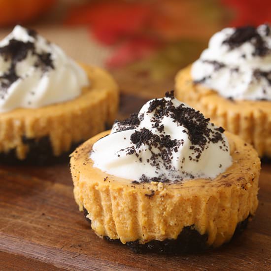 Mini Pumpkin Oreo Cheesecakes