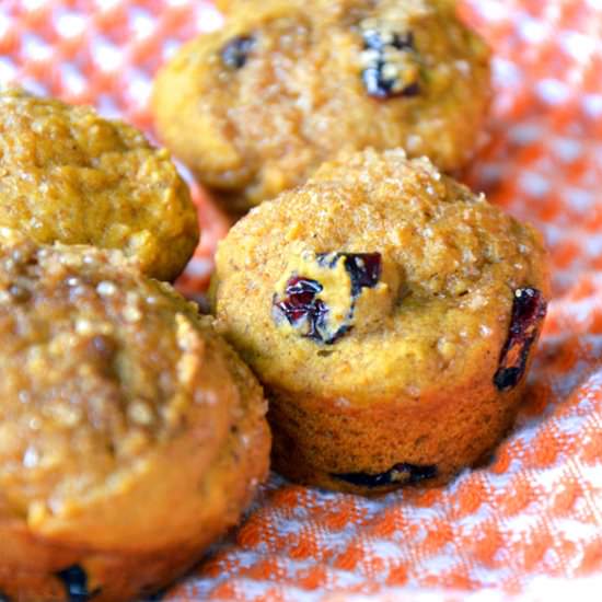 Mini Cranberry Pumpkin Muffins