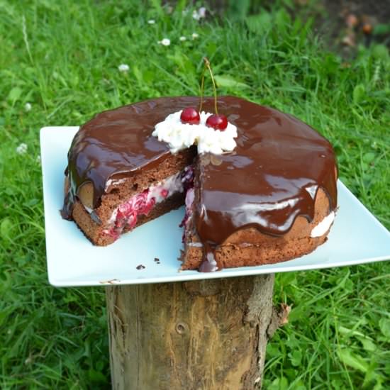 Sour Cherry Cake