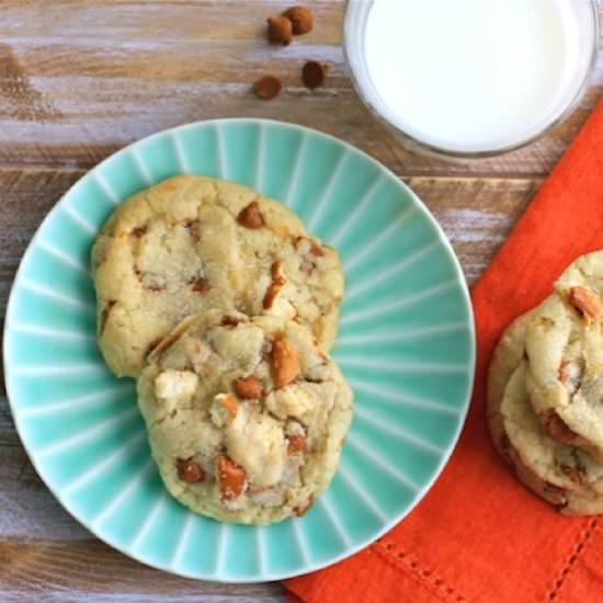 Cinnamon-Pretzel Sugar Cookies