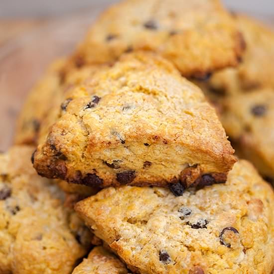 Double Chocolate Pumpkin Scones