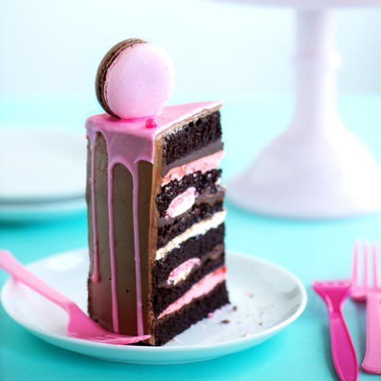Neapolitan Macaron Delight Cake