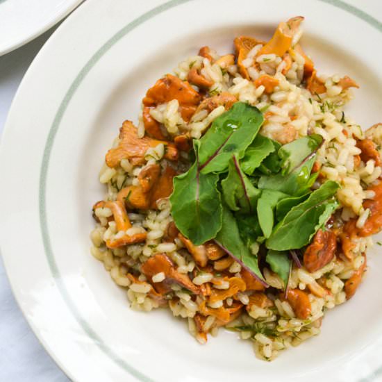 Chanterelle Risotto