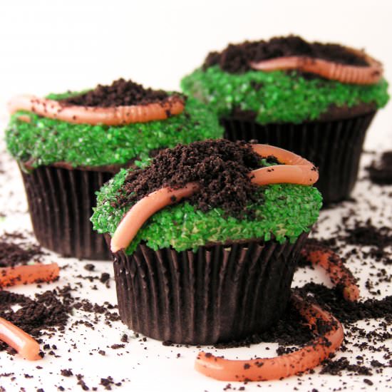Earthworm Cupcakes!