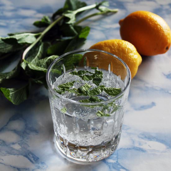 Refreshing Mint and Lemon Mocktail