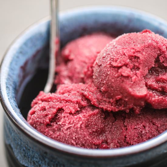 Concord Grape Sorbet