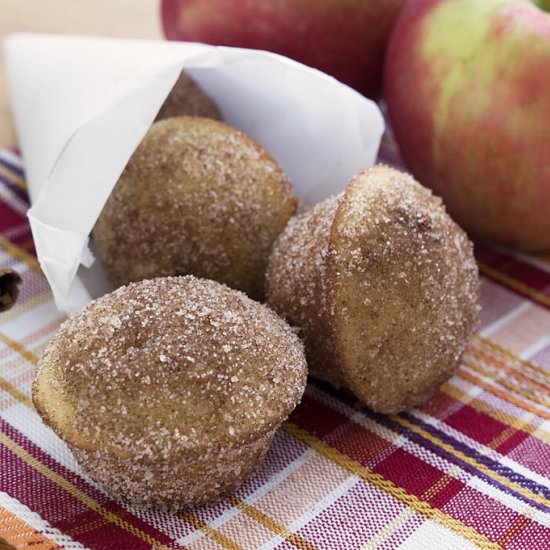 Cider Doughnut Muffins