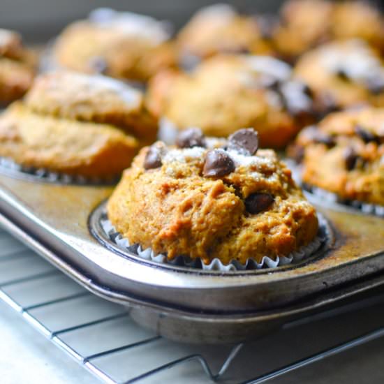 Chocolate Chip Pumpkin Muffins