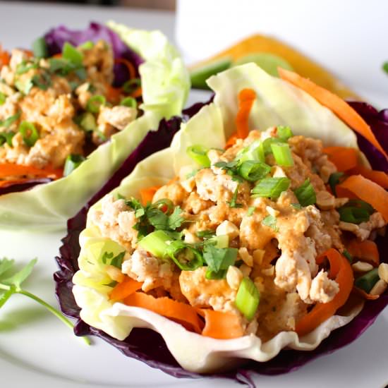 Protein Style Thai Turkey Wraps