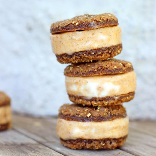 Chocolate Pumpkin IceCream Sandwich