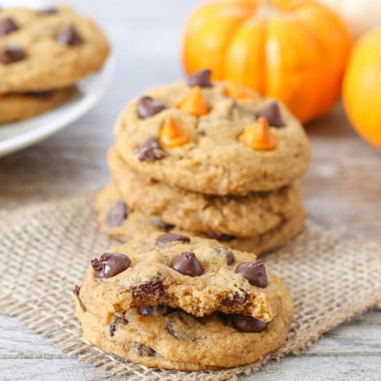 Chewy Pumpkin Chocolate Chip Cookie