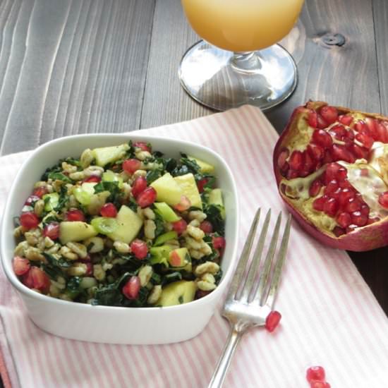 Farro with  pomegranate and apple
