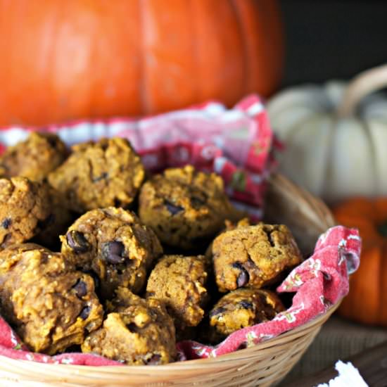 Chocolate Chia Pumpkin Muffins