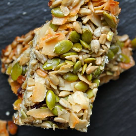 Seeded Cranberry Crunch Bars