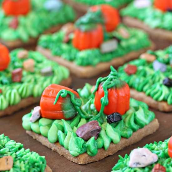 Pumpkin Patch Shortbread