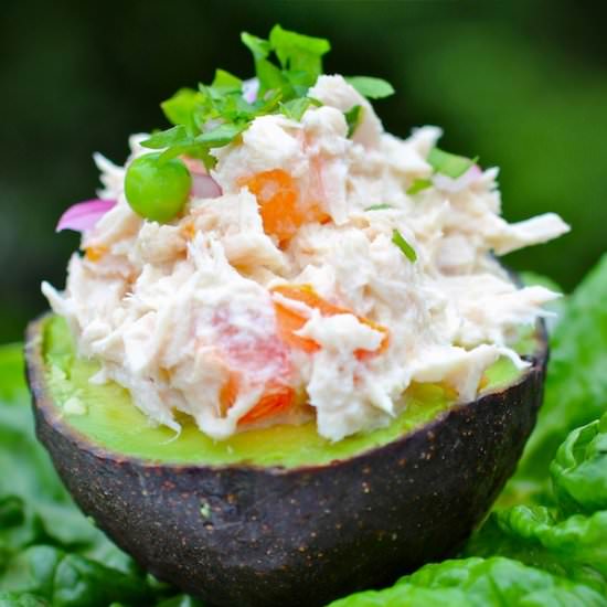 Tuna Stuffed Avocado