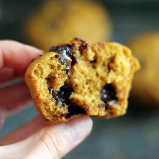 Pumpkin Chocolate Chip Muffins