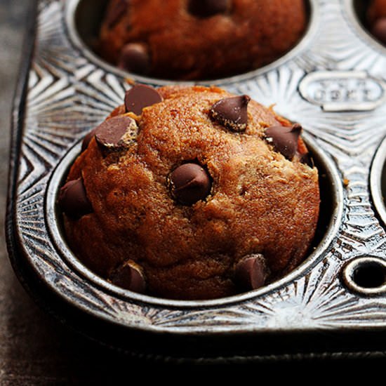 Pumpkin Chocolate Chip Muffins