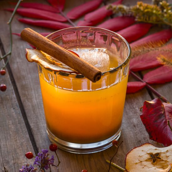 Pumpkin Bourbon Apple Cocktail