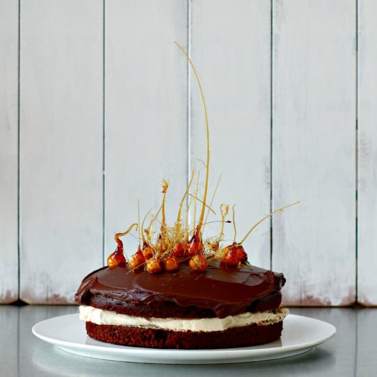 Chocolate Cake with Butterscotch
