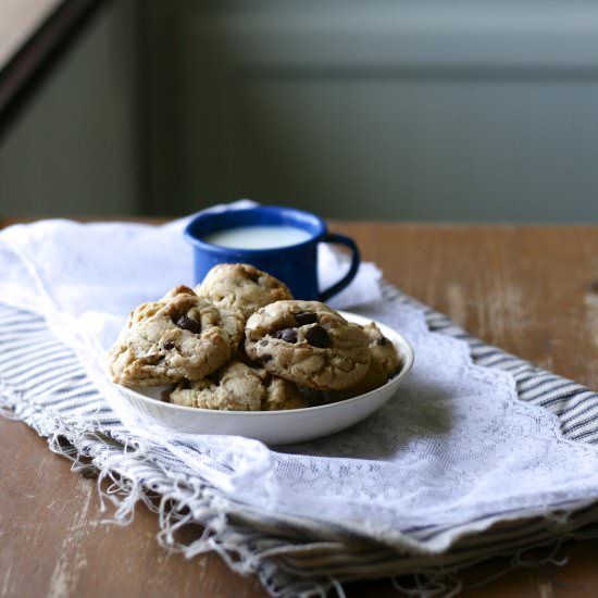 BB Toasted Coconut Choc Chip