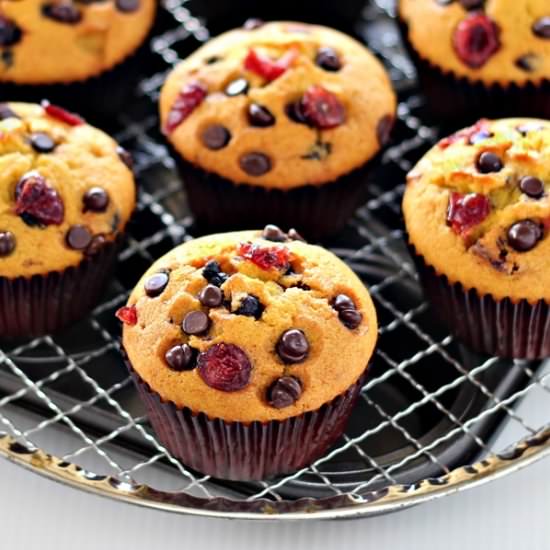 Pumpkin Chocolate Chip Muffins
