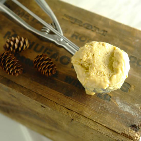 Pumpkin Peanut Butter Ice Cream