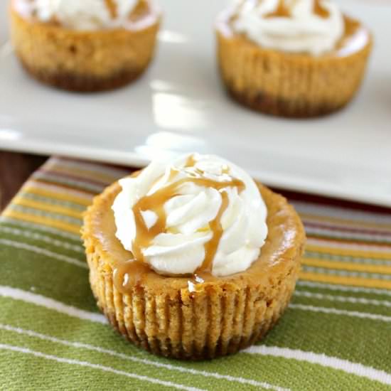 Mini Pumpkin Cheesecakes