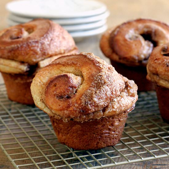 Brioche Cinnamon Rolls