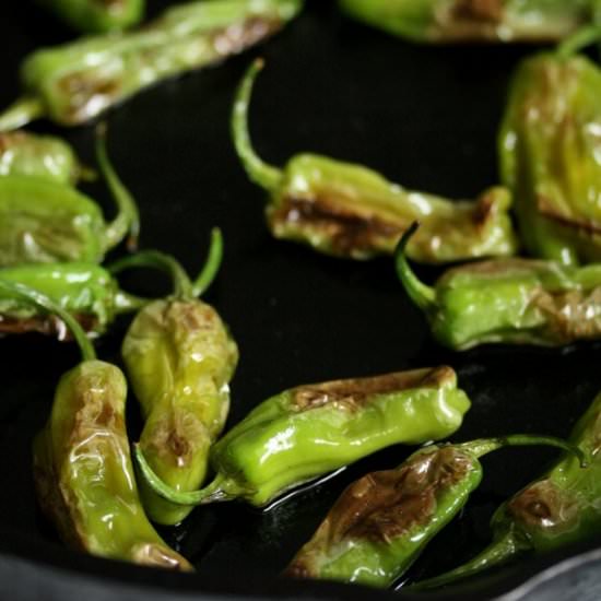 Blistered Shishito Peppers